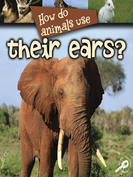 Title details for How Do Animals Use Their Ears? by Lynn M. Stone - Available